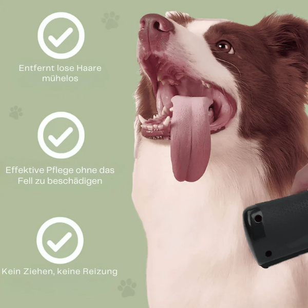 Magische Bürste für Hunde