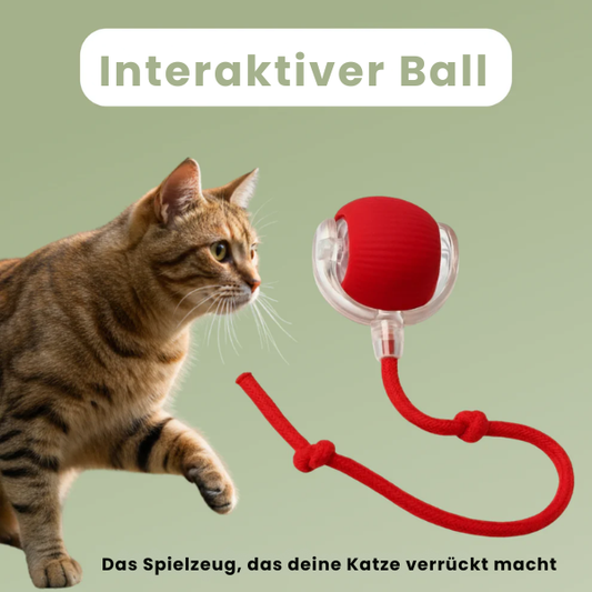 CrazyBall – Interaktiver Ball