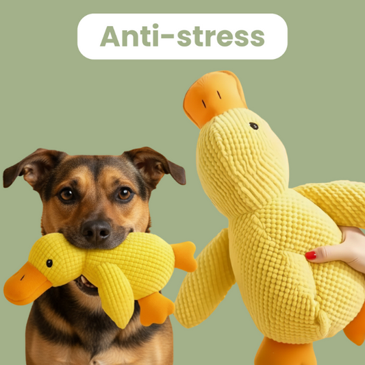 ZenDuck - Anti-Stress-Ente
